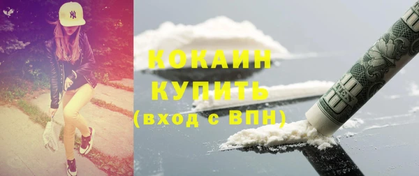 твердый Аркадак