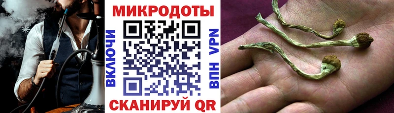 даркнет сайт  Междуреченск  Псилоцибиновые грибы Magic Shrooms 